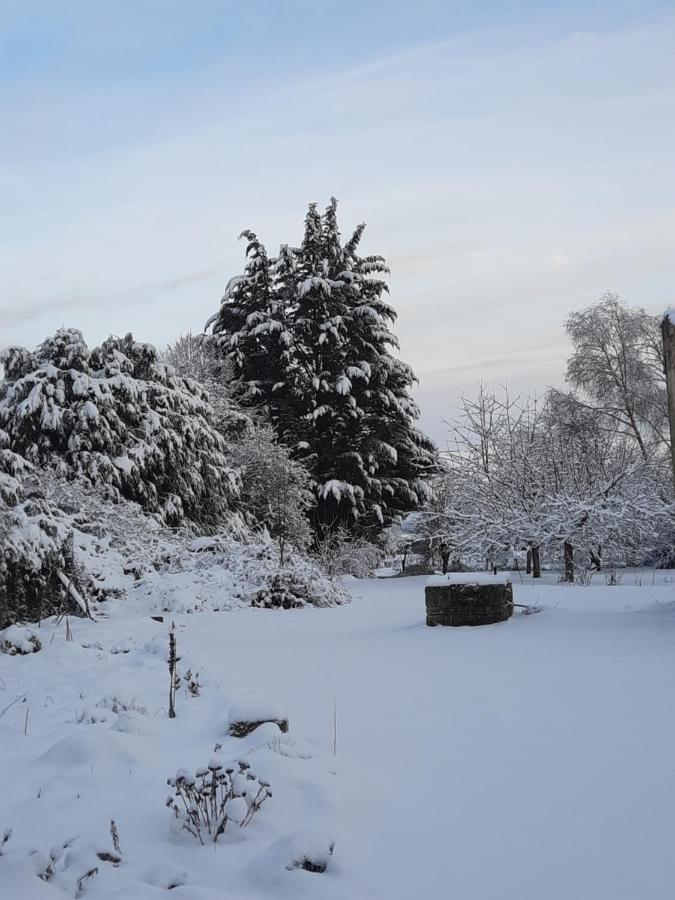 Bed and Breakfast La Grange Aux Dames Geville Esterno foto